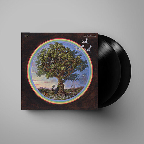 [수입] Bill Fay - Countless Branches [2LP][Deluxe Edition]