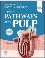 Cohen's Pathways of the Pulp (Hardcover, 12th)