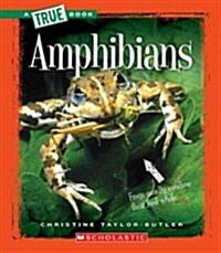 Amphibians (a True Book: Animal Kingdom) (Library Edition) (Hardcover, Library)