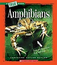 Amphibians (a True Book: Animal Kingdom) (Paperback)