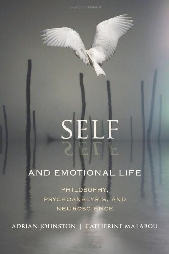 Self and Emotional Life: Philosophy, Psychoanalysis, and Neuroscience (Paperback)