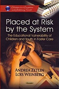 Placed at Risk by the System (Paperback, UK)