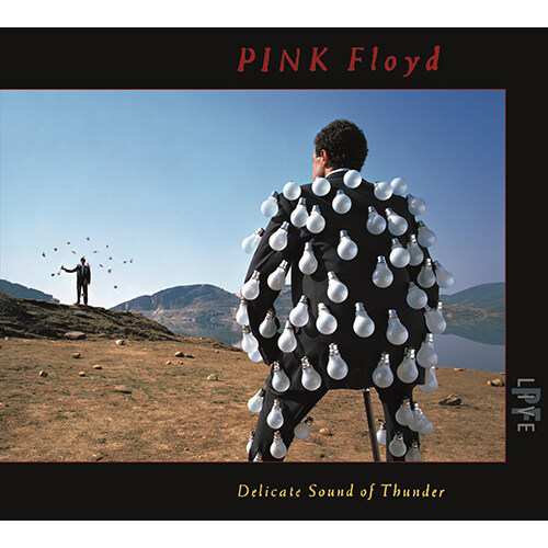 [수입] Pink Floyd - Delicate Sound Of Thunder (Live) [2CD][Digipack]
