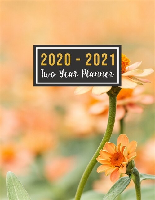 2020-2021 Two Year Planner: 2020-2021 see it bigger planner - Flower in the Field Cover - 2 Year Calendar 2020-2021 Monthly - 24 Months Agenda Pla (Paperback)