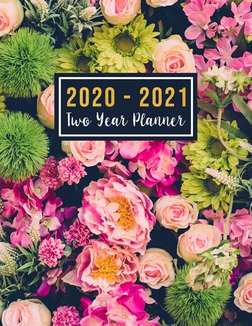 2020-2021 Two Year Planner: 2020-2021 see it bigger planner- Jan 2020 - Dec 2021 - 24 Months Agenda Planner with Holiday - Personal Appointment ( (Paperback)
