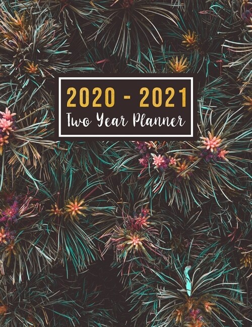 2020-2021 Two Year Planner: 2 year monthly planner 2020-2021 8.5 x 11 see it bigger planner - 24-Month Planner & Calendar. Size: 8.5 x 11 ( Jan (Paperback)