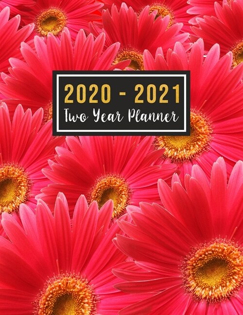 2020-2021 Two Year Planner: see it bigger 2020-2021 monthly planner - Jan 2020 - Dec 2021 - 24 Months Agenda Planner with Holiday - Personal Appoi (Paperback)