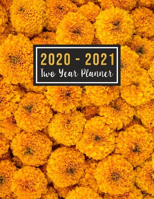 2020-2021 Two Year Planner: wellness planner 2020 see it bigger planner - 24 Months Agenda Planner with Holiday from Jan 2020 - Dec 2021 Large siz (Paperback)