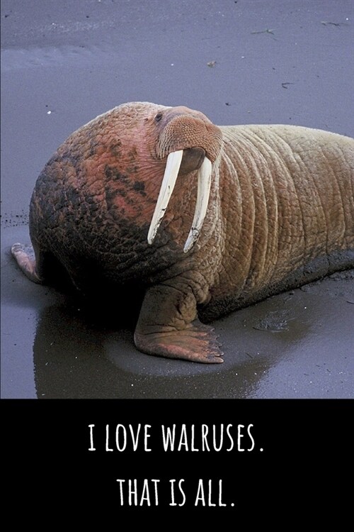 I Love Walruses. That Is All - Lined Journal and Notebook: Funny Walrus Notebook for Students, Writers and Notetakers (Paperback)