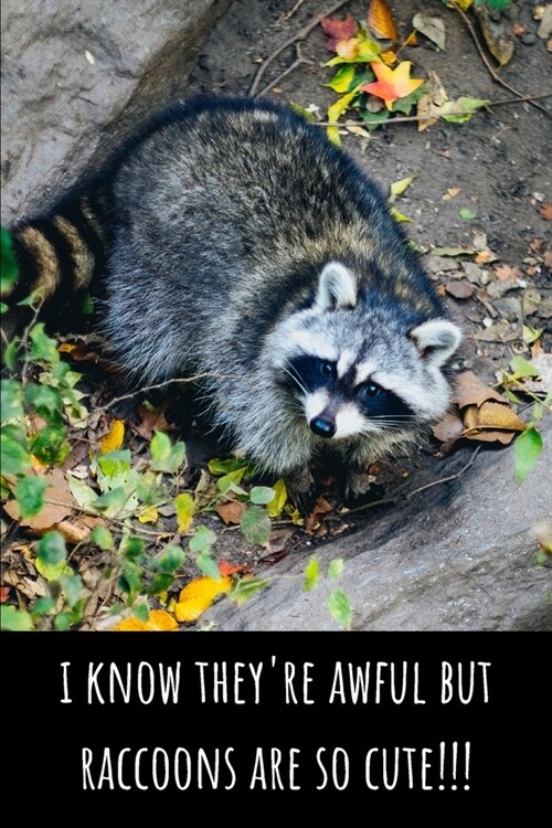 I Know Theyre Awful But Raccoons Are So Cute! - Lined Journal and Notebook: Funny Raccoon Notebook for Students, Writers and Notetakers (Paperback)