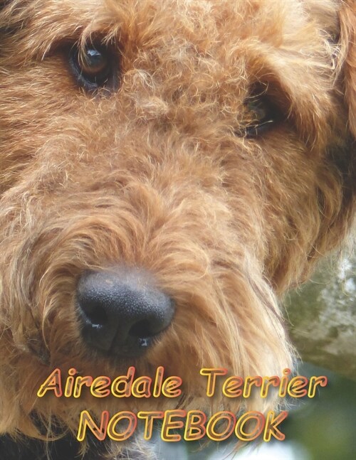 Airedale Terrier NOTEBOOK: Dog Notebooks and Journals 110 pages (8.5x11) (Paperback)