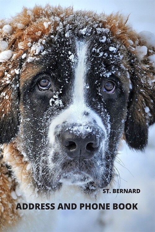 Address and Phone Book: Saint Bernard Dog Lover Gift (with discreet password journal section), Organized in Alphabetical Order, Discreet inter (Paperback)