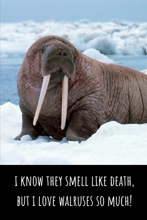I Know They Smell Like Death, But I Love Walruses So Much - Lined Journal and Notebook: Funny Walrus Notebook for Students, Writers and Notetakers (Paperback)