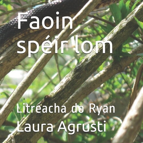 Faoin sp?r lom: Litreacha do Ryan (Paperback)