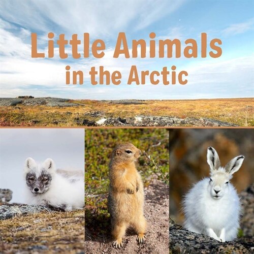 Little Animals in the Arctic: English Edition (Paperback)