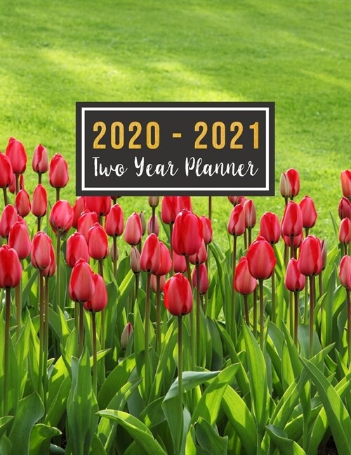 2020-2021 Two Year Planner: 2 year planner 2020-2021 monthly 8.5 x 11 see it bigger planner - 24-Month Planner & Calendar. Size: 8.5 x 11 ( Jan (Paperback)