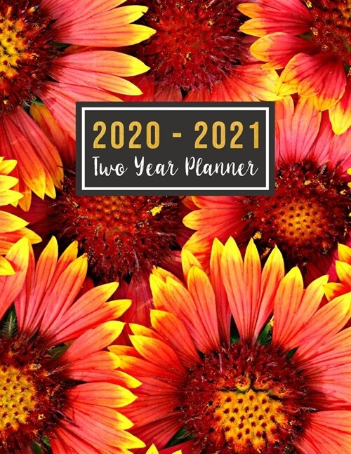 2020-2021 Two Year Planner: 2020-2021 monthly planner full size - Jan 2020 - Dec 2021 - 24 Months Agenda Planner with Holiday - Personal Appointme (Paperback)