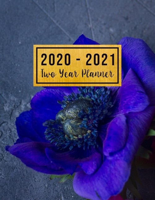 2020-2021 Two Year Planner: 2 year planner 2020-2021 monthly 8.5 x 11 see it bigger planner - 24-Month Planner & Calendar. Size: 8.5 x 11 ( Jan (Paperback)