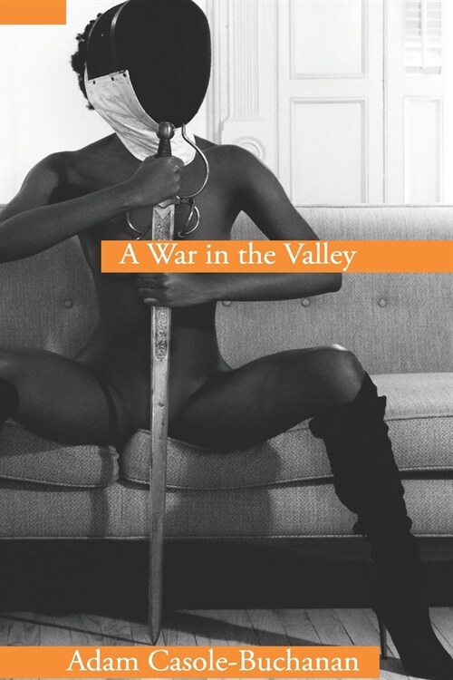 A War In The Valley (Paperback)