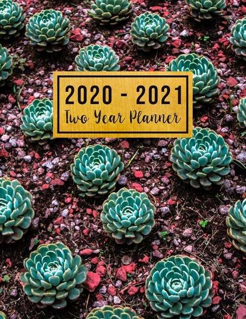 2020-2021 Two Year Planner: 2 year planner 2020-2021 monthly 8.5 x 11 see it bigger planner - 24-Month Planner & Calendar. Size: 8.5 x 11 ( Jan (Paperback)