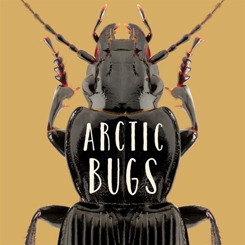 Arctic Bugs: English Edition (Paperback, English)