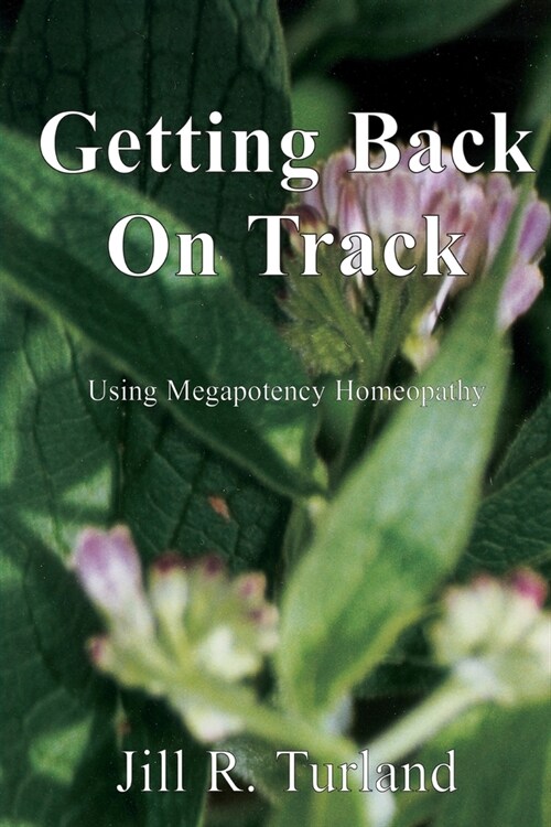 Getting Back On Track (Paperback)