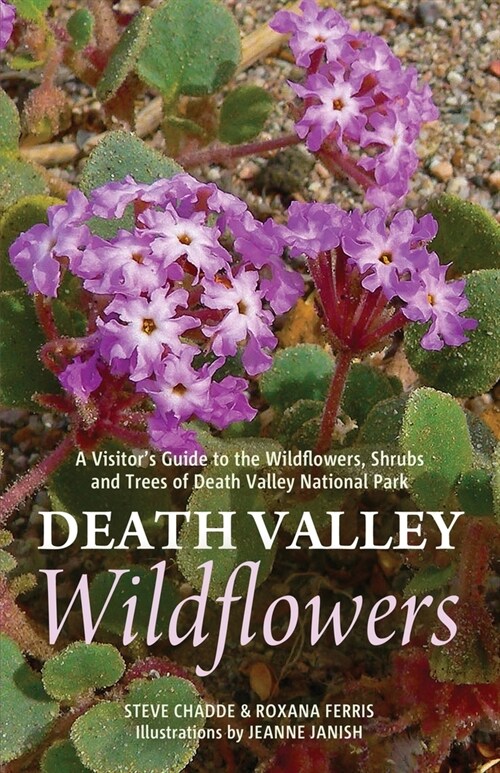 Death Valley Wildflowers: A Visitors Guide to the Wildflowers, Shrubs and Trees of Death Valley National Park (Paperback)