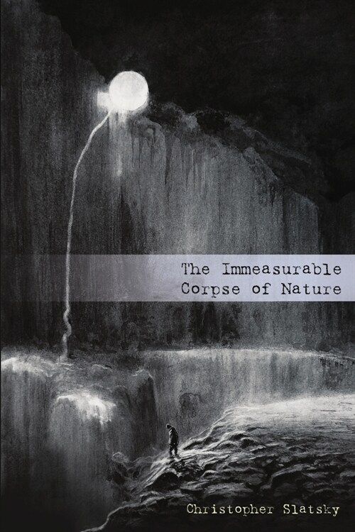 The Immeasurable Corpse of Nature (Paperback)