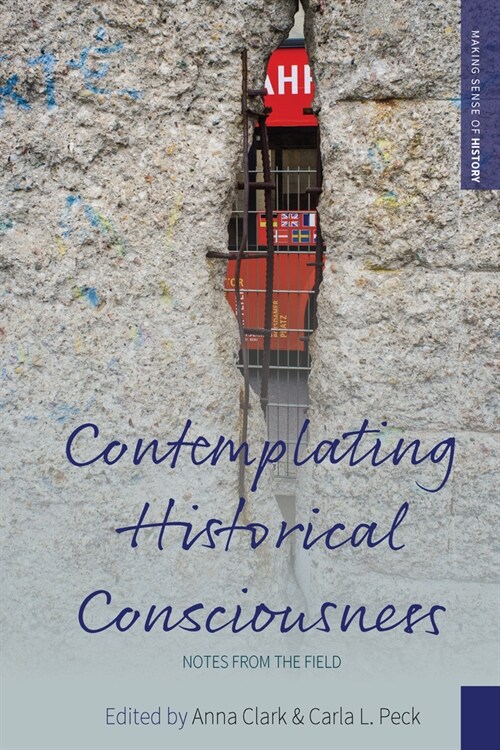 Contemplating Historical Consciousness : Notes from the Field (Paperback)