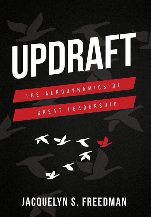 Updraft: The Aerodynamics of Great Leadership (Hardcover, 2)