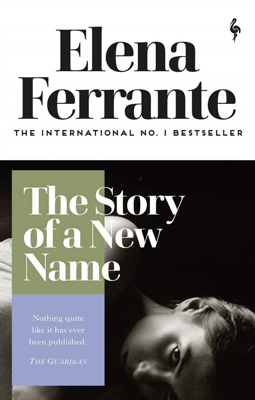 The Story of a New Name (Paperback)