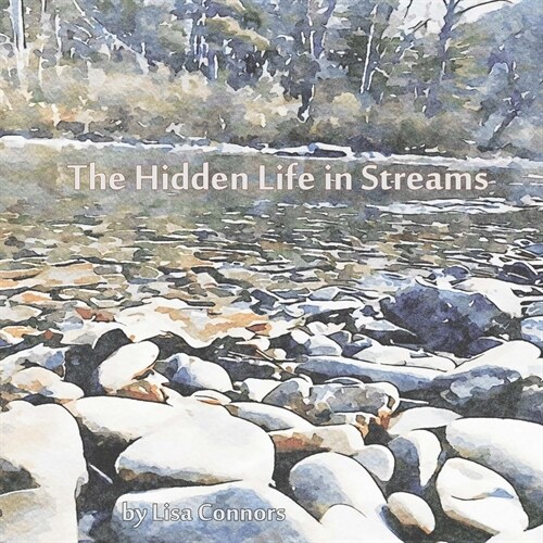 The Hidden Life in Streams (Paperback)