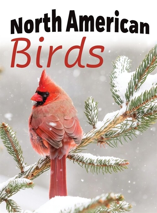 North American Birds (Hardcover)