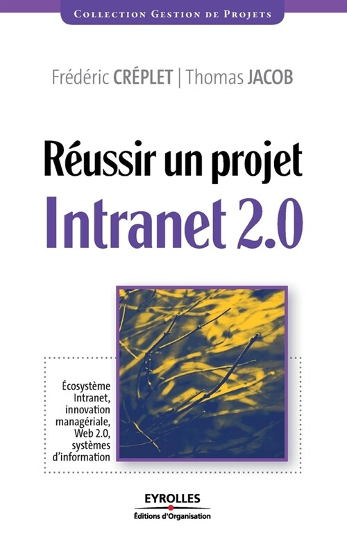 R?ssir un projet Intranet 2.0: ?osyst?e Intranet, innovation manag?iale... (Paperback)