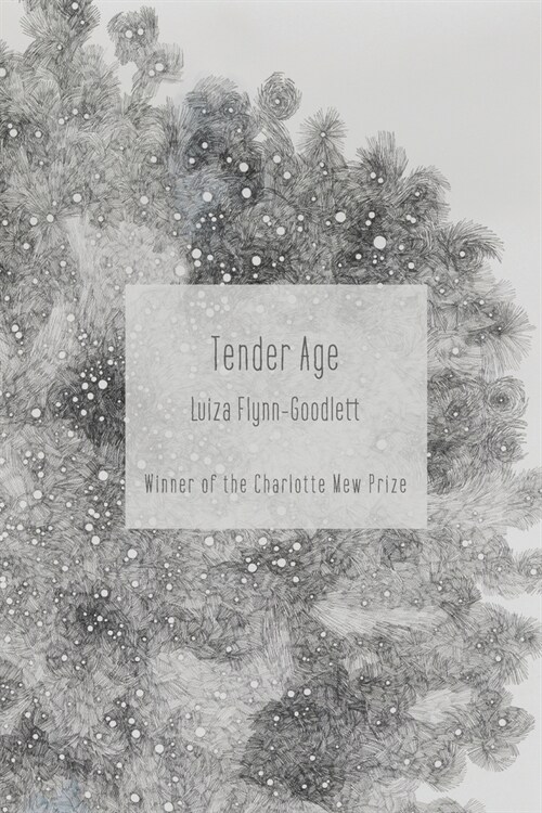 Tender Age (Paperback)