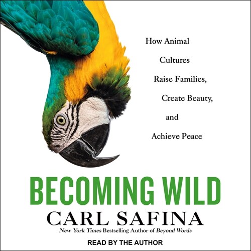 Becoming Wild: How Animals Learn to Be Animals (MP3 CD)