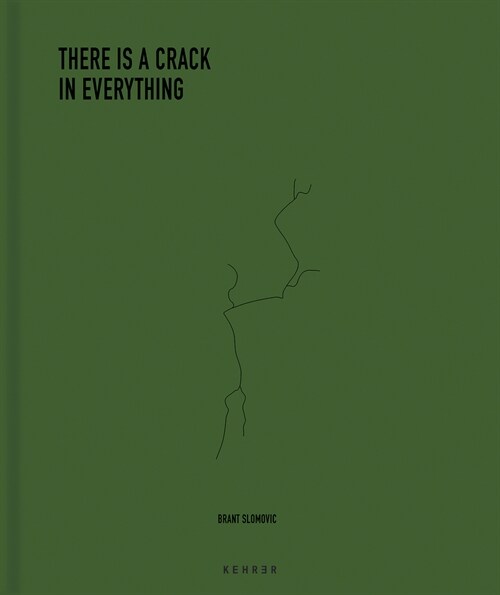The Cracks in Everything (Hardcover)