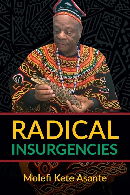 Radical Insurgencies (Paperback)