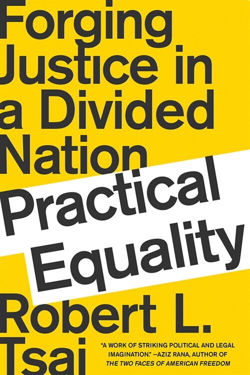 Practical Equality: Forging Justice in a Divided Nation (Paperback)