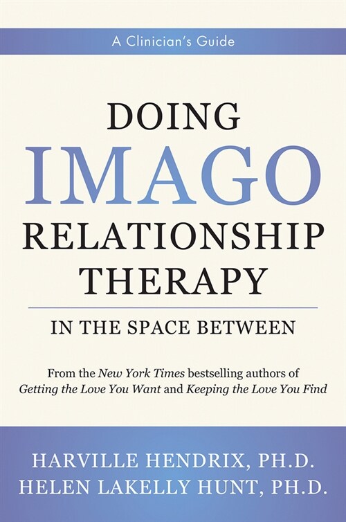 Doing Imago Relationship Therapy in the Space-Between: A Clinicians Guide (Hardcover)
