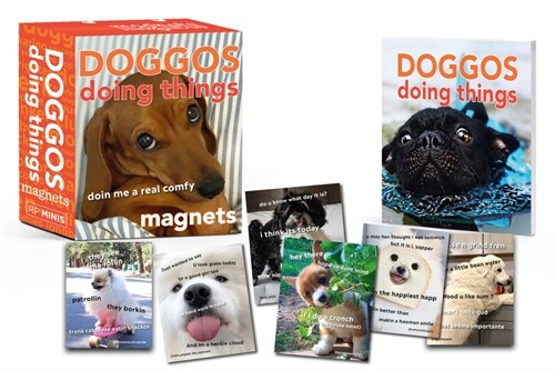 Doggos Doing Things Magnets (Paperback)