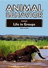 Animal Life in Groups (Library Binding)