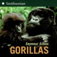 Gorillas 표지이미지