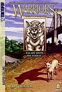 [중고] Escape from the Forest (Paperback)