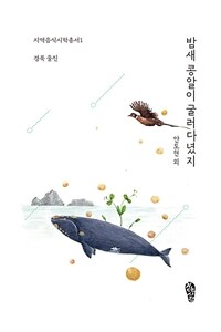 밤새 콩알이 굴러다녔지 표지이미지