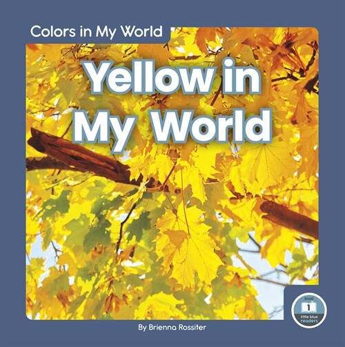 Yellow in My World (Library Binding)