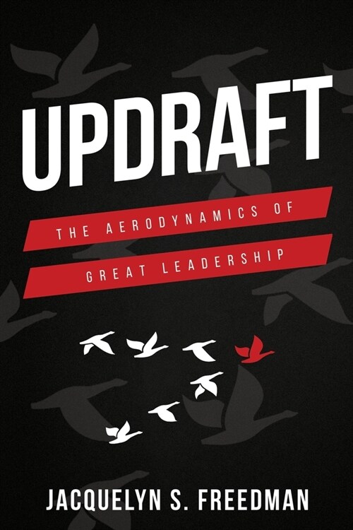 Updraft: The Aerodynamics of Great Leadership (Paperback)