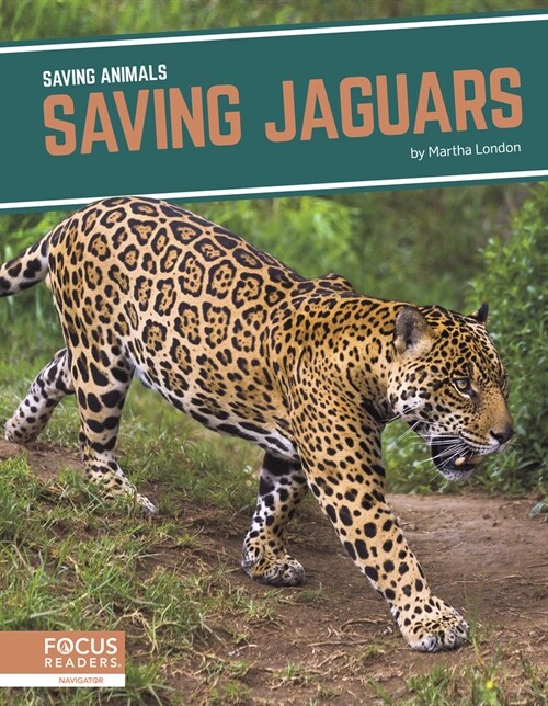 Saving Jaguars (Paperback)
