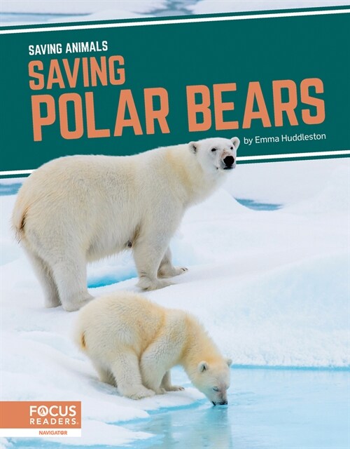 Saving Polar Bears (Paperback)