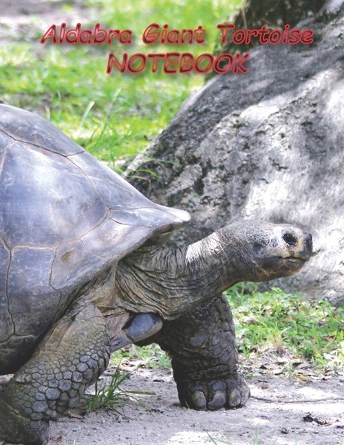 Aldabra Giant Tortoise NOTEBOOK: Reptile Notebooks and Journals 110 pages (8.5x11) (Paperback)